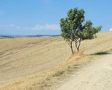 Bauernhof Montaperti Castelnuovo Berardenga
